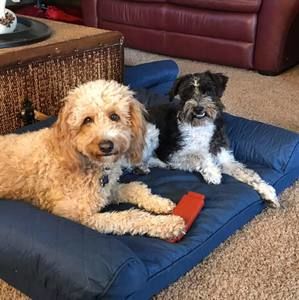 Meet your Posher, Angie